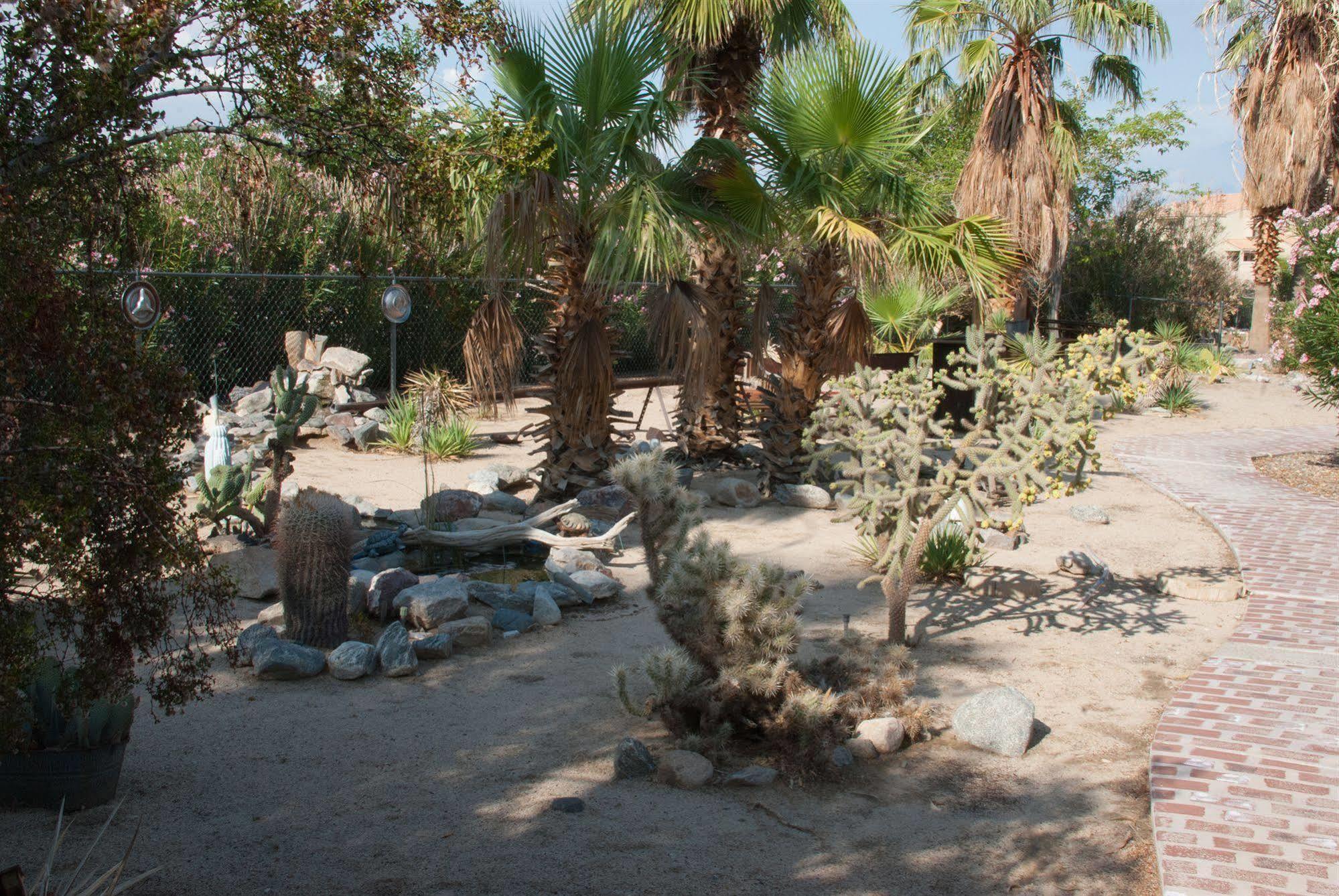 Sunnyvale Garden Suites - Joshua Tree National Park Twentynine Palms Eksteriør billede